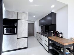 The Rise @ Oxley (D9), Condominium #607979891
